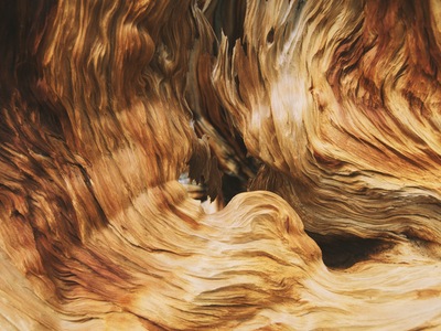 Maseczki nie tylko na specjalne okazje