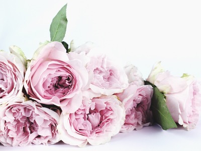 Podziękujmy wonnej róży