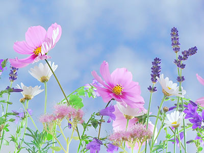 Wiosenne noce skóry