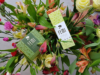 Przebudzenie po zimie