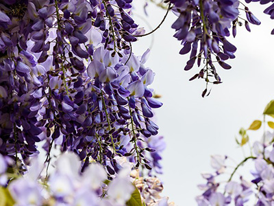 Jak zapobiegać powstawaniu zmarszczek?