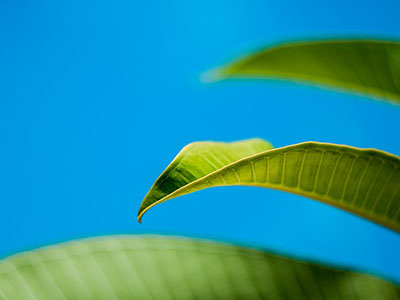 Naturalne kremy do twarzy