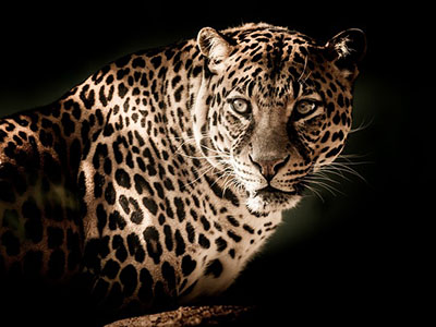 Worki pod oczami – jak się pozbyć?