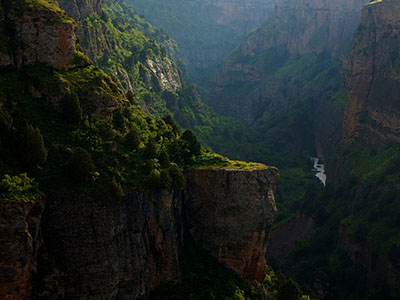 Adaptogeny w kosmetykach