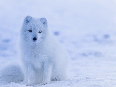 Sporty zimowe - jak ich uprawianie niszczy skórę