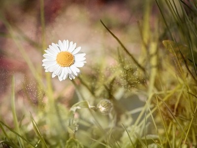 Masaż twarzy - jakie daje efekty i w jaki sposób go wykonać?