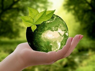 Opakowania wielorazowe do kosmetyków i detergentów czy ten ekologiczny trend ma szansę przyjąć się na świecie i pojawić w Polsce?