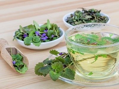 Zioła przeciwwirusowe – kiedy stosować? Jakie jest ich działanie?