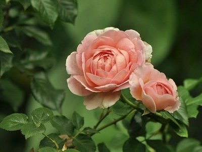 Menopauza i najlepsze sposoby troski o skórę