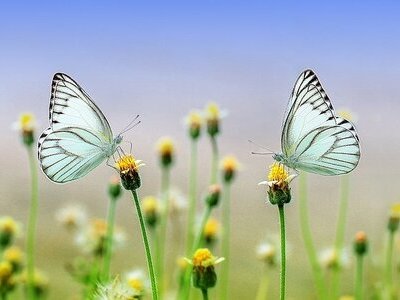 Naturalna pielęgnacja w gabinecie kosmetycznym – poznaj ofertę FEMI