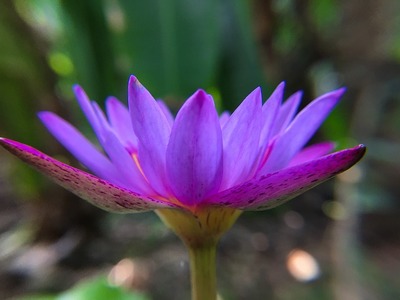 Neurokosmetyki - czym są, czy są bezpieczne, co warto o nich wiedzieć