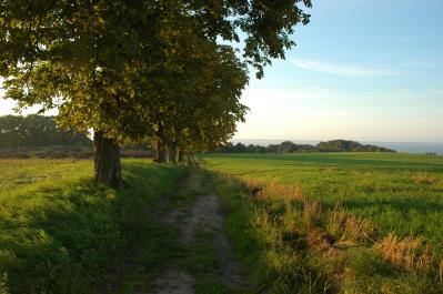 Wysoka jakość życia