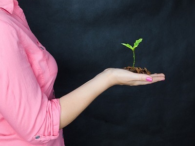 Fitohormony i ich dobroczynne działanie dla skóry