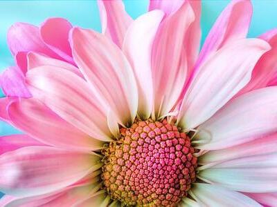 Naturalne kosmetyki w pielęgnacji twarzy - dla kogo są przeznaczone, czy sprawdza się przy każdym rodzaju skóry i czemu powinnaś zwrócić na nie uwagę?