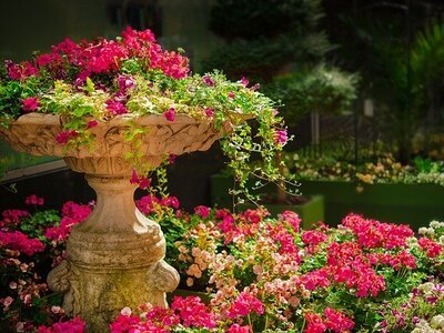 Kwiaty w kosmetyce - piękno dla urody