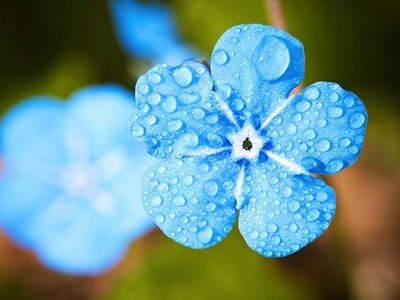 Lipidy i ich znaczenie w kosmetyce