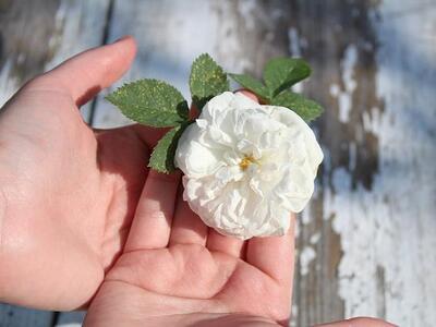 Egzema - co to za schorzenie i jakie kosmetyki najlepiej sprawdzą się w jej pielęgnacji?