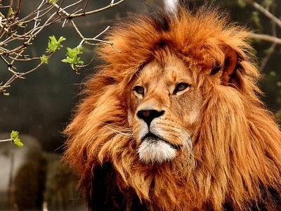 Lwia zmarszczka, czyli jak poradzić sobie z wyrazem gniewu na twarzy?